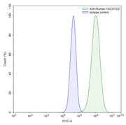 Flow Cytometry results for Human TACSTD2/TROP2 Monoclonal Antibody