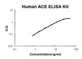 Human ACE PicoKine® Quick ELISA Kit Boster Bio