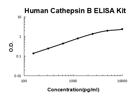 Human Cathepsin B PicoKine® Quick ELISA Kit Boster Bio