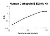 Human Cathepsin E PicoKine® Quick ELISA Kit Boster Bio