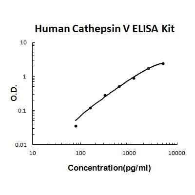 Human Cathepsin V PicoKine® Quick ELISA Kit Boster Bio