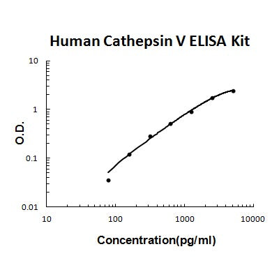 Human Cathepsin V PicoKine® Quick ELISA Kit Boster Bio
