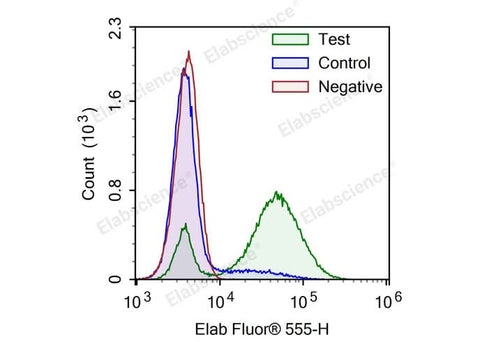 Camptothecin-induced apoptosis in HL-60 cells. Test: HL-60 cells were treated with 2.5 μM Camptothecin for 4h. Control: Normal HL-60 cells were not treated with drugs. Negative: HL-60 cells were treated with 2.5 μM camptothecin for 4h without TdT enzyme.