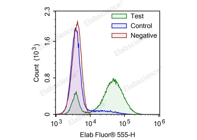 Camptothecin-induced apoptosis in HL-60 cells. Test: HL-60 cells were treated with 2.5 μM Camptothecin for 4h. Control: Normal HL-60 cells were not treated with drugs. Negative: HL-60 cells were treated with 2.5 μM camptothecin for 4h without TdT enzyme.