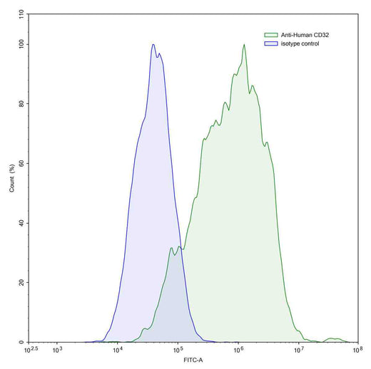 Human CD32/FCGR2A Monoclonal Antibody