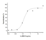 Measured by its ability to inhibit the IL-6Rα enhancement of IL-6 activity on M1 mouse myeloid leukemia cell. The ED<sub>50</sub> for this effect is typically 0.2-0.8 μg/mL in the presence of 50 ng/mL recombinant human IL-6sR and 100 ng/mL recombinant human IL-6.