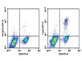 C57/BL6 Mouse splenocytes were fixation and permeabilization, intracellular stained with 0.2 μg Purified Anti-Mouse Foxp3 Antibody[FJK-16s] (Right) and 0.2 μg Rat IgG2a, κ Isotype Control (Left), followed by APC-conjugated Goat Anti-Rat IgG Secondary Antibody, then anti-Mouse CD4 FITC-conjugated Monoclonal Antibody.