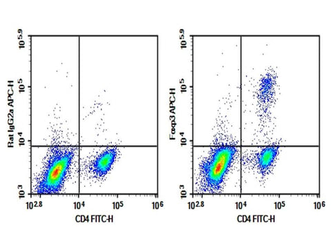 C57/BL6 Mouse splenocytes were fixation and permeabilization, intracellular stained with 0.2 μg Purified Anti-Mouse Foxp3 Antibody[FJK-16s] (Right) and 0.2 μg Rat IgG2a, κ Isotype Control (Left), followed by APC-conjugated Goat Anti-Rat IgG Secondary Antibody, then anti-Mouse CD4 FITC-conjugated Monoclonal Antibody.