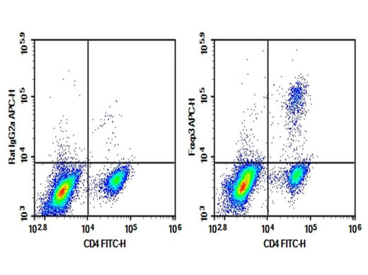 C57/BL6 Mouse splenocytes were fixation and permeabilization, intracellular stained with 0.2 μg Purified Anti-Mouse Foxp3 Antibody[FJK-16s] (Right) and 0.2 μg Rat IgG2a, κ Isotype Control (Left), followed by APC-conjugated Goat Anti-Rat IgG Secondary Antibody, then anti-Mouse CD4 FITC-conjugated Monoclonal Antibody.