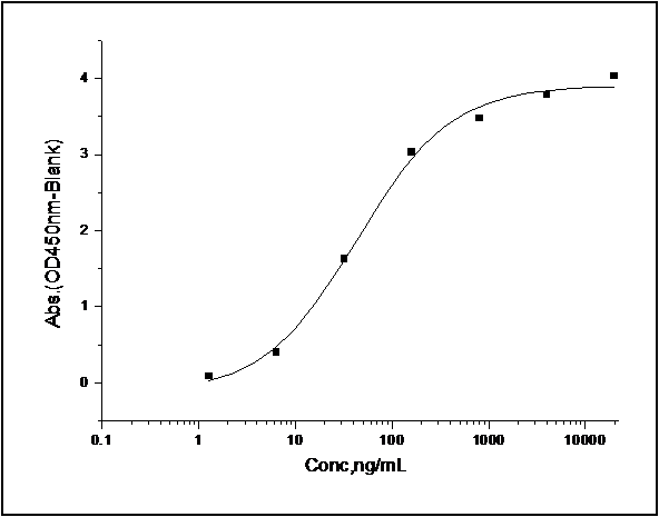 Measured by its binding ability in a functional ELISA. Immobilized human CD48 at 10 μg/ml (100 μl/well) can bind recombinant human 2B4 / CD244 with a linear range of 0.004-0.4 μg/ml.