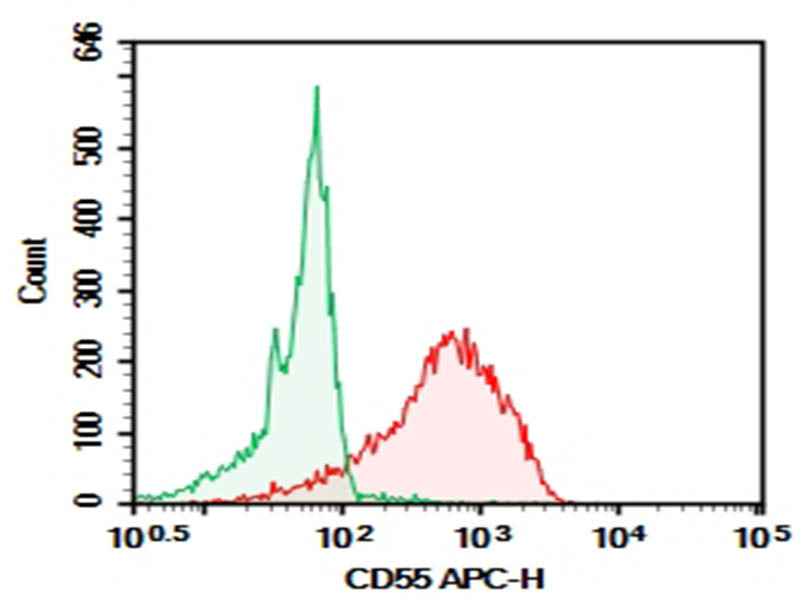 Anti-Human CD55 Antibody [HI55a] - ABMIUM