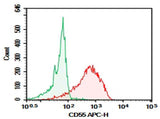 Anti-Human CD55 Antibody [HI55a] - ABMIUM