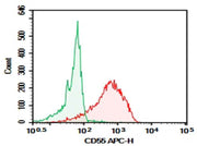 Anti-Human CD55 Antibody [HI55a] - ABMIUM