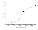 Measured by its ability to inhibit FGF acidic dependent proliferation of Balb/c3T3 mouse embryonic fibroblasts. The ED<sub>50</sub> for this effect is typically 0.2-1 μg/mL.