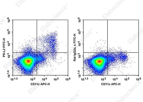 Anti-Mouse PD-L2 Antibody [TY25] - ABMIUM