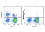 Human peripheral blood lymphocytes are stained with APC Anti-Human CD3 Antibody and FITC Anti-Human CD56 Antibody[5.1H11] (Left). Lymphocytes are stained with APC Anti-Human CD3 Antibody and FITC Mouse IgG1, κ Isotype Control (Right). 