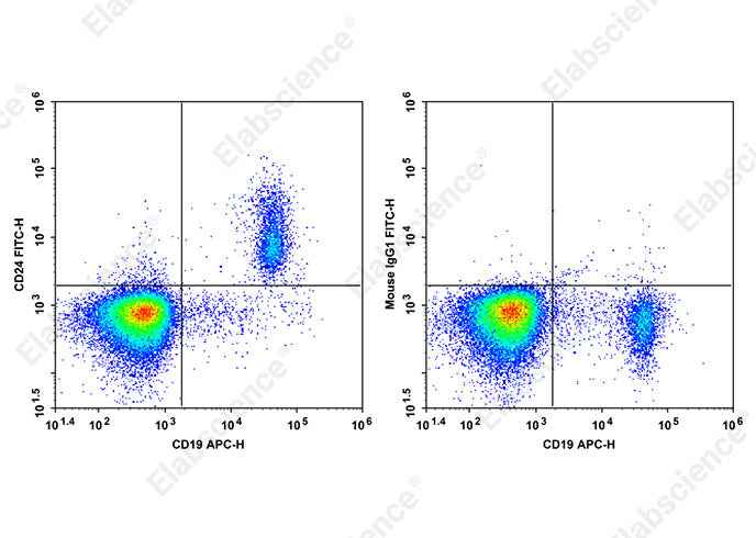 Anti-Human CD24 Antibody [HIQB24] - ABMIUM