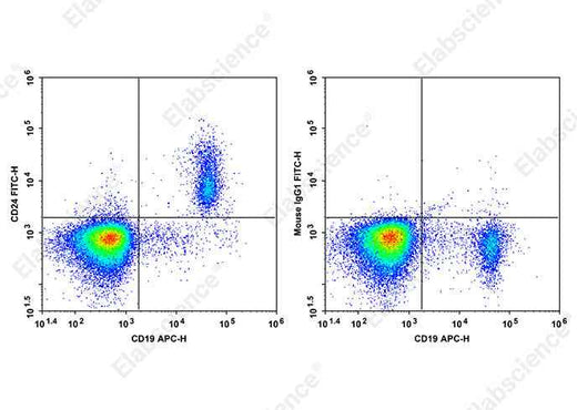 Anti-Human CD24 Antibody [HIQB24] - ABMIUM