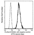 Anti-Human S100A6 Antibody [A914] - ABMIUM