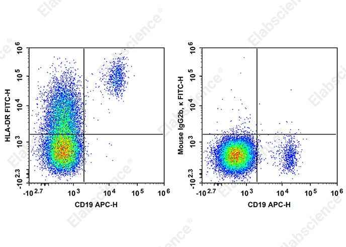 Anti-Human HLA-DR Antibody [LN3] - ABMIUM