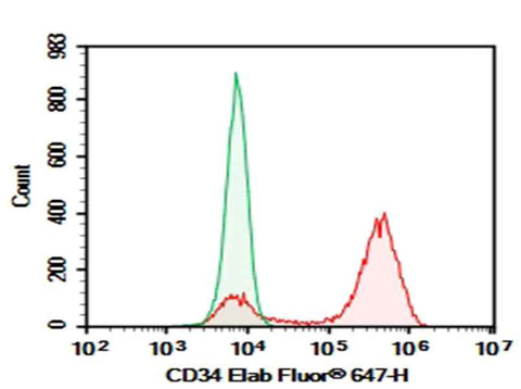 Anti-Human CD34 Antibody [QBEnd-10] - ABMIUM