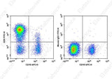 Human peripheral blood lymphocytes are stained with APC Anti-Human CD19 Antibody and FITC Anti-Human CD5 Antibody[HISM2] (Left). Lymphocytes are stained with APC Anti-Human CD19 Antibody and FITC Mouse IgG1, κ Isotype Control (Right). 