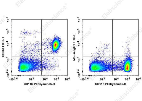 Anti-Mouse CD66A Antibody [Mab-CC1] - ABMIUM