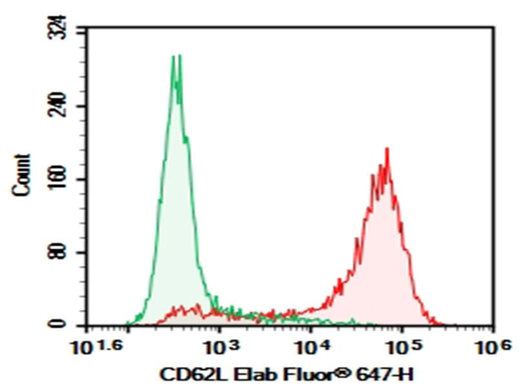 C57/BL6 Mouse splenocytes were stained with 0.2 μg AF/LE Purified Anti-Mouse CD62L Antibody[MEL-14] (Right) and 0.2 μg Rat IgG2a, κ Isotype Control (Left), followed by FITC-conjugated Goat Anti-Rat IgG Secondary Antibody.