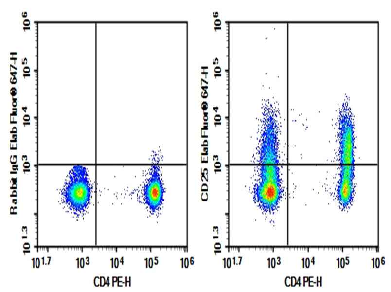 Anti-Human CD25 Antibody [daclizumab] - ABMIUM