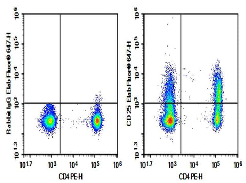 Anti-Human CD25 Antibody [daclizumab] - ABMIUM