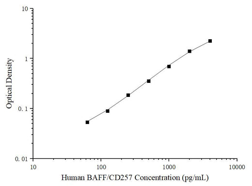 Uncoated Human BAFF/CD257 (B-Cell Activating Factor) ELISA Kit - ABMIUM