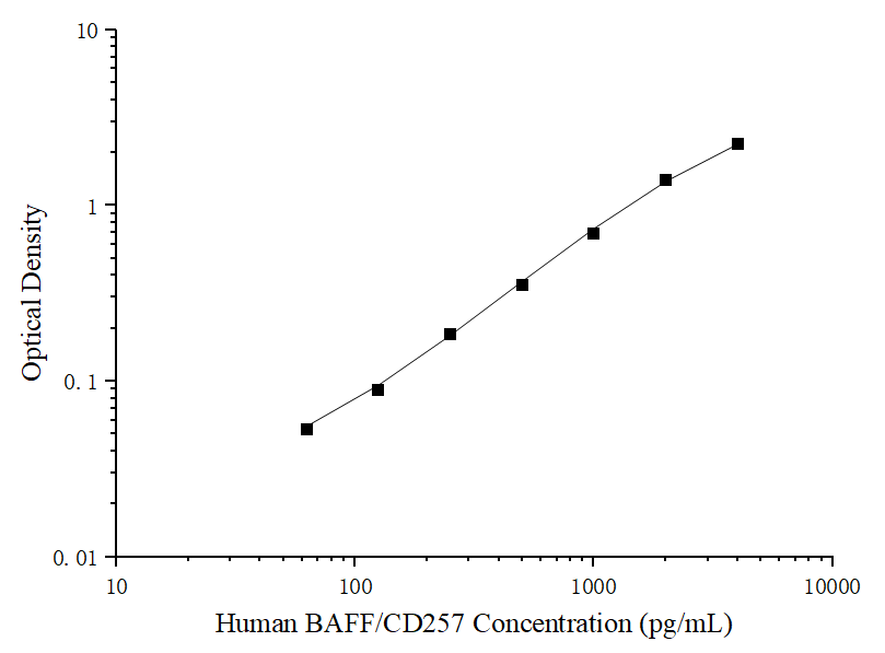 Uncoated Human BAFF/CD257 (B-Cell Activating Factor) ELISA Kit - ABMIUM