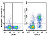 Human peripheral blood lymphocytes were stained with 0.2 μg Purified Anti-Human CD11c Antibody[BU15] (Right) and 0.2 μg Mouse IgG1, κ Isotype Control (Left), followed by Elab Fluor<sup>®</sup> 647-conjugated Goat Anti-Mouse IgG Secondary Antibody, then anti-Human CD56 PE-conjugated Monoclonal Antibody.