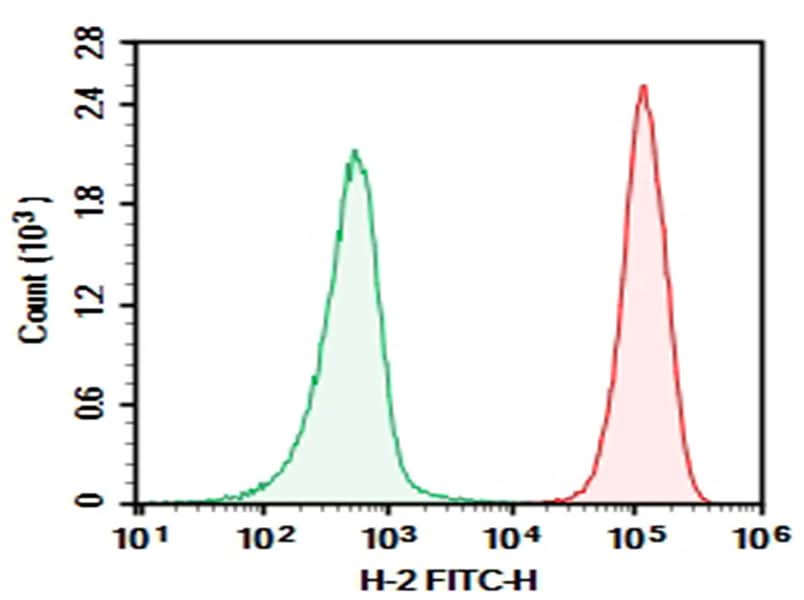 C57/BL6 Mouse splenocytes were stained with 0.2 μg AF/LE Purified Anti-Mouse H-2 Antibody[M1/42] (Right) and 0.2 μg Rat IgG2a, κ Isotype Control (Left), followed by FITC-conjugated Goat Anti-Rat IgG Secondary Antibody.