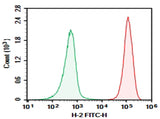 C57/BL6 Mouse splenocytes were stained with 0.2 μg AF/LE Purified Anti-Mouse H-2 Antibody[M1/42] (Right) and 0.2 μg Rat IgG2a, κ Isotype Control (Left), followed by FITC-conjugated Goat Anti-Rat IgG Secondary Antibody.