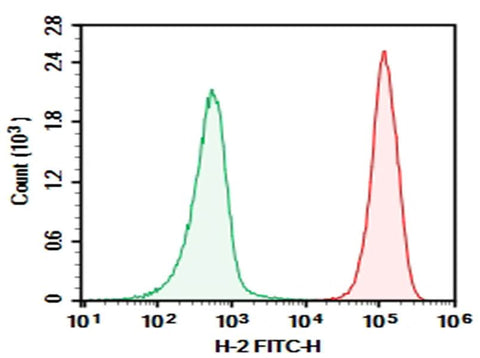 C57/BL6 Mouse splenocytes were stained with 0.2 μg AF/LE Purified Anti-Mouse H-2 Antibody[M1/42] (Right) and 0.2 μg Rat IgG2a, κ Isotype Control (Left), followed by FITC-conjugated Goat Anti-Rat IgG Secondary Antibody.