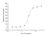 Measured by the ability of the immobilized protein to enhance BMP2-induced alkaline phosphatase activity in C3H10T1/2 mouse embryonic fibroblast cells. The ED<sub>50</sub> for this effect is typically 2-20 μg/mL.