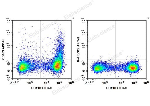 C57BL/6 murine bone marrow cells are stained with FITC Anti-Mouse/Human CD11b Antibody and APC Anti-Mouse CD163 Antibody (Left). Bone marrow cells are stained with FITC Anti-Mouse/Human CD11b Antibody and APC Rat IgG2a,κ Isotype Control (Right). 