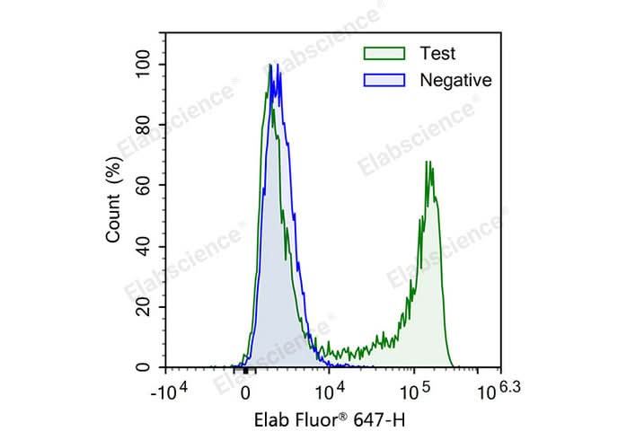 Test: Jurkat cells were treated with 10 μM EdU for 4 hours. Negative: Jurkat cells without EdU.