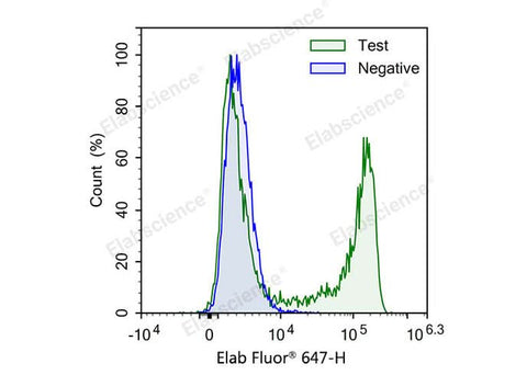 Test: Jurkat cells were treated with 10 μM EdU for 4 hours. Negative: Jurkat cells without EdU.