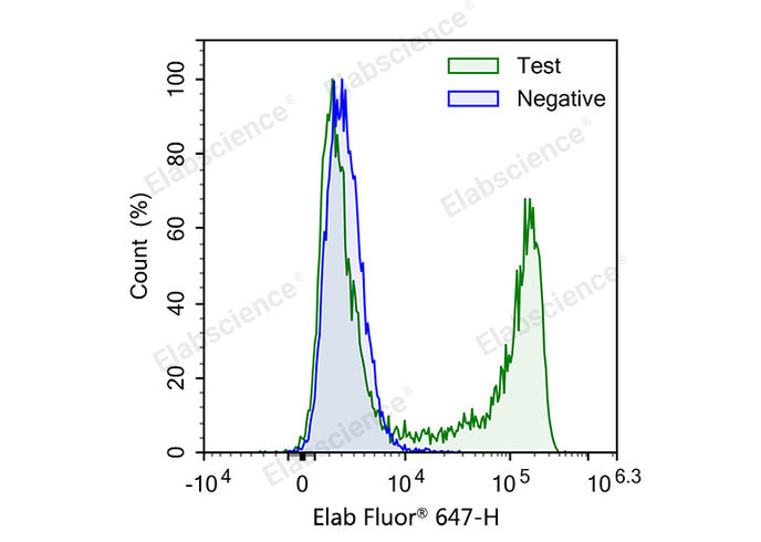 Test: Jurkat cells were treated with 10 μM EdU for 4 hours. Negative: Jurkat cells without EdU.