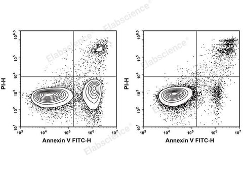 Annexin V-FITC/PI Apoptosis Kit - ABMIUM