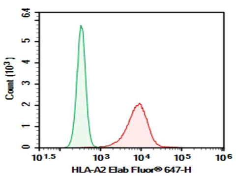 Anti-Human HLA-A2 Antibody [BB7.2] - ABMIUM