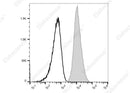 Anti-Human CD1b Antibody [SN13 (K5-1B8)] - ABMIUM