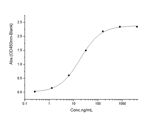 Measured by its binding ability in a functional ELISA. Immobilized human ACE2 protein (His tag) at 2μg/mL (100μL/well) can bind SARS-CoV Spike/RBD Protein (RBD, mFc Tag) (40150-V05H), the EC<sub>50</sub> of SARS-CoV Spike/RBD Protein (RBD, mFc Tag) is 9-40 ng/mL.