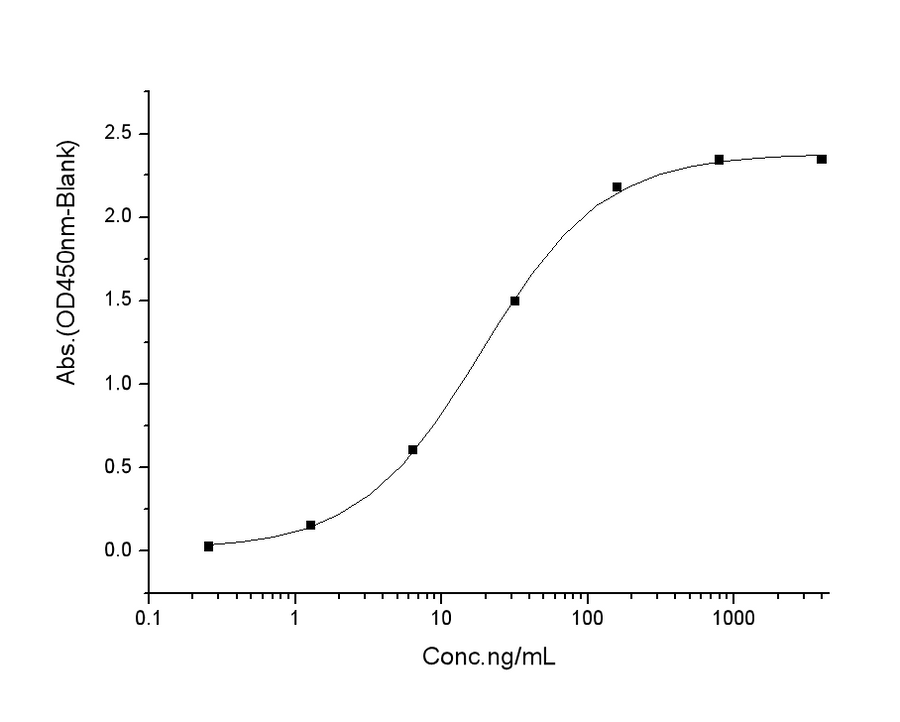 Measured by its binding ability in a functional ELISA. Immobilized human ACE2 protein (His tag) at 2μg/mL (100μL/well) can bind SARS-CoV Spike/RBD Protein (RBD, mFc Tag) (40150-V05H), the EC<sub>50</sub> of SARS-CoV Spike/RBD Protein (RBD, mFc Tag) is 9-40 ng/mL.