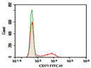 Anti-Rat CD71 Antibody [OX-26] - ABMIUM