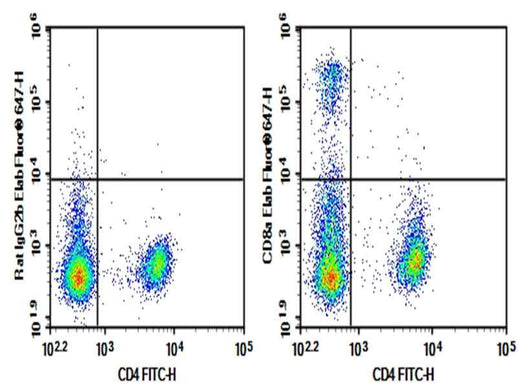 Anti-Mouse CD8a Antibody [YTS 105.18] - ABMIUM
