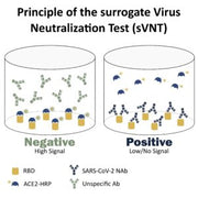 SARS-CoV-2 Surrogate Virus Neutralization Test (sVNT) Kit