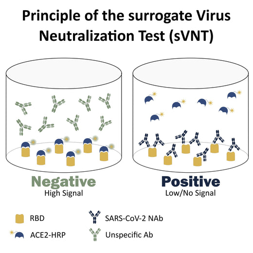 image2_sVNT_test_principle3.jpg